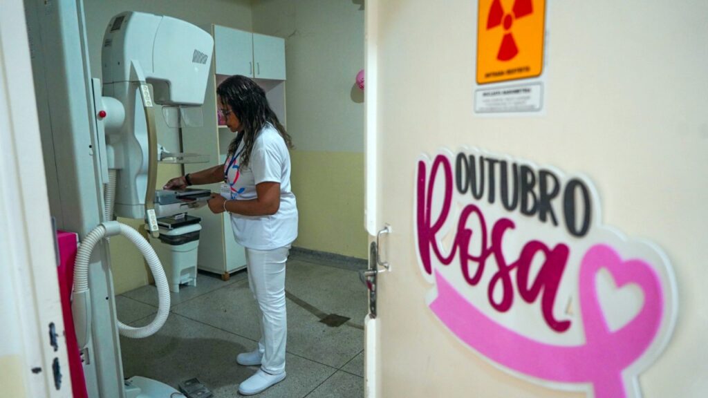 divulgação